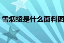雪煙綾是什么面料圖片（雪煙綾是什么面料）