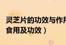 靈芝片的功效與作用及食用方法（靈芝片怎么食用及功效）