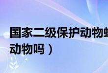 國(guó)家二級(jí)保護(hù)動(dòng)物蛙類石蛙（石蛙是二級(jí)保護(hù)動(dòng)物嗎）