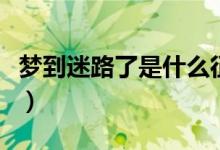 夢(mèng)到迷路了是什么征兆（夢(mèng)到迷路了暗示什么）