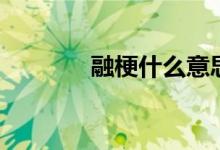 融梗什么意思（融梗的含義）