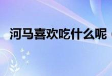 河馬喜歡吃什么呢（河馬喜歡吃什么食物）