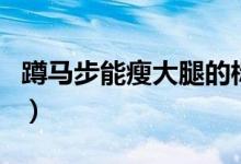 蹲馬步能瘦大腿的標(biāo)準(zhǔn)姿勢（蹲馬步能瘦腿嗎）