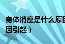 身體消瘦是什么原因分析（身體消瘦是什么原因引起）