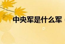 中央軍是什么軍（中央軍是什么意思）