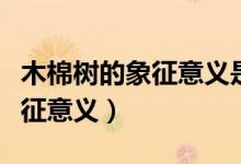 木棉樹的象征意義是什么（木棉樹代表什么象征意義）