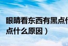 眼睛看東西有黑點什么原因（眼睛看東西有黑點什么原因）