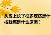 頭皮上長了很多疙瘩是什么原因按上去痛（頭皮上長疙瘩一按就痛是什么原因）
