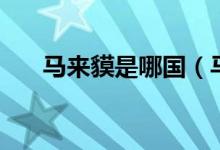 馬來(lái)貘是哪國(guó)（馬來(lái)貘是哪國(guó)的國(guó)寶）