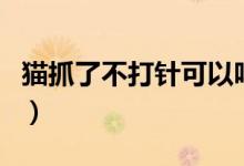 貓抓了不打針可以嗎（讓貓抓了不打針有事嗎）