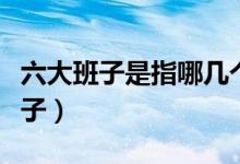 六大班子是指哪幾個（五大班子是指哪五大班子）