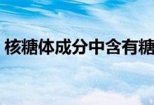 核糖體成分中含有糖類（核糖體成分有哪些）