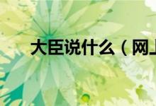 大臣說什么（網(wǎng)上臣附議是什么意思）