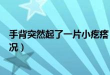 手背突然起了一片小疙瘩（手背突然長一片小疙瘩是什么情況）