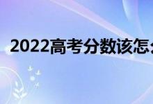 2022高考分?jǐn)?shù)該怎么查（什么時(shí)候查成績(jī)）