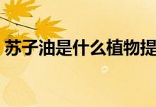 蘇子油是什么植物提煉出來（蘇子油是什么）
