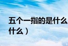 五個(gè)一指的是什么（五個(gè)一是什么 五個(gè)一指什么）