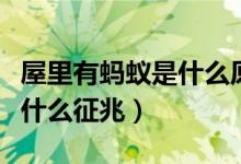 屋里有螞蟻是什么原因怎樣治（屋里有螞蟻是什么征兆）