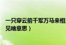 一只穿云箭千軍萬馬來相見文案（一只穿云箭千軍萬馬來相見啥意思）
