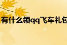有什么領(lǐng)qq飛車禮包軟件（有什么領(lǐng)主小說）