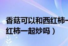 香菇可以和西紅柿一起食用嗎（香菇可以和西紅柿一起炒嗎）
