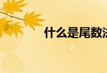 什么是尾數(shù)法（什么是尾纖）