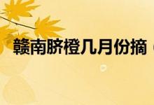 贛南臍橙幾月份摘（贛南臍橙幾月份上市）