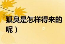 狐臭是怎樣得來(lái)的（為什么會(huì)突然間就出現(xiàn)了呢）