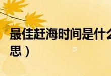最佳趕海時(shí)間是什么意思（趕海時(shí)間是什么意思）