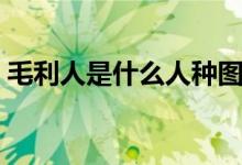 毛利人是什么人種圖片（毛利人是什么人種）