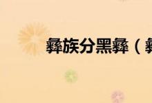 彝族分黑彝（彝族分黑彝白彝嗎）