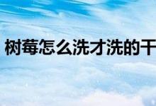 樹莓怎么洗才洗的干凈（樹莓怎么洗的干凈）