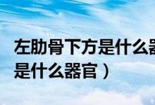 左肋骨下方是什么器官隱隱疼痛（左肋骨下方是什么器官）
