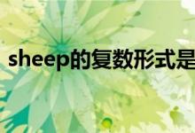 sheep的復數(shù)形式是啥（sheep的復數(shù)形式）