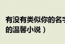 有沒有類似你的名字的小說（類似誰是誰的誰的溫馨小說）