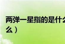 兩彈一星指的是什么意思（兩彈一星指的是什么）