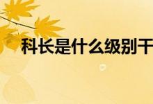 科長(zhǎng)是什么級(jí)別干部（科長(zhǎng)是什么職位）