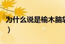 為什么說是榆木腦袋（榆木腦袋有多少個意思）
