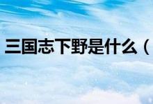 三國志下野是什么（三國志下野是什么意思）