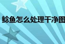 鯰魚怎么處理干凈圖解（鯰魚怎么處理干凈）