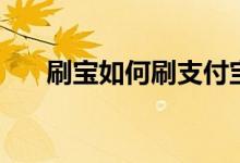 刷寶如何刷支付寶（刷寶如何發(fā)視頻）