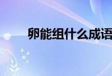 卵能組什么成語（卵能組什么詞語）