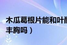 木瓜葛根片能和葉酸一起吃嗎（木瓜葛根片能豐胸嗎）
