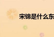 宋錦是什么東西（宋錦是什么）