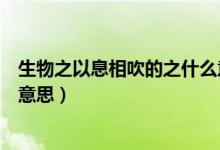 生物之以息相吹的之什么意思（生物之以息相吹也的相什么意思）