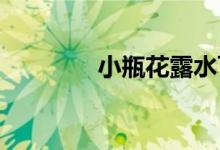 小瓶花露水可以帶上飛機嗎