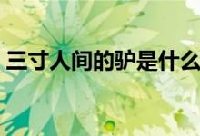 三寸人間的驢是什么（三寸人間的驢是什么）