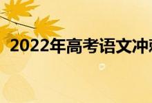 2022年高考語文沖刺技巧（如何復(fù)習(xí)語文）