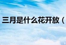 三月是什么花開放（三月是什么花開的季節(jié)）