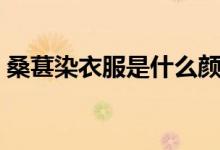 桑葚染衣服是什么顏色（桑葚染衣服怎么洗）